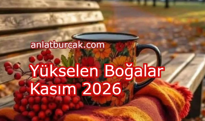 Yükselen Boğalar Kasım 2026